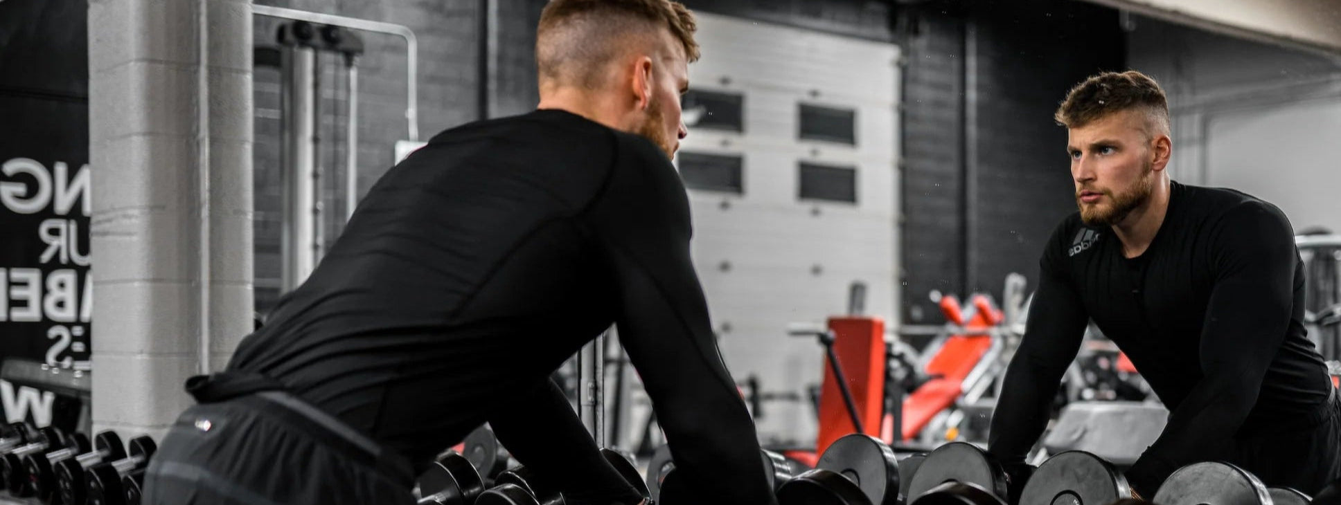 Suplementos premium <br>
que garantizan resultados reales